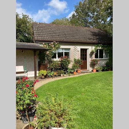 Апартаменты Mews With Garden Views Карлоу Экстерьер фото